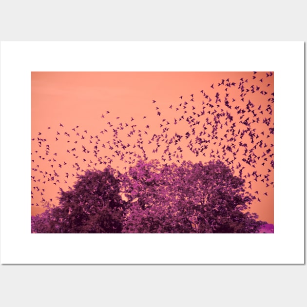 The Birds / Swiss Artwork Photography Wall Art by RaphaelWolf